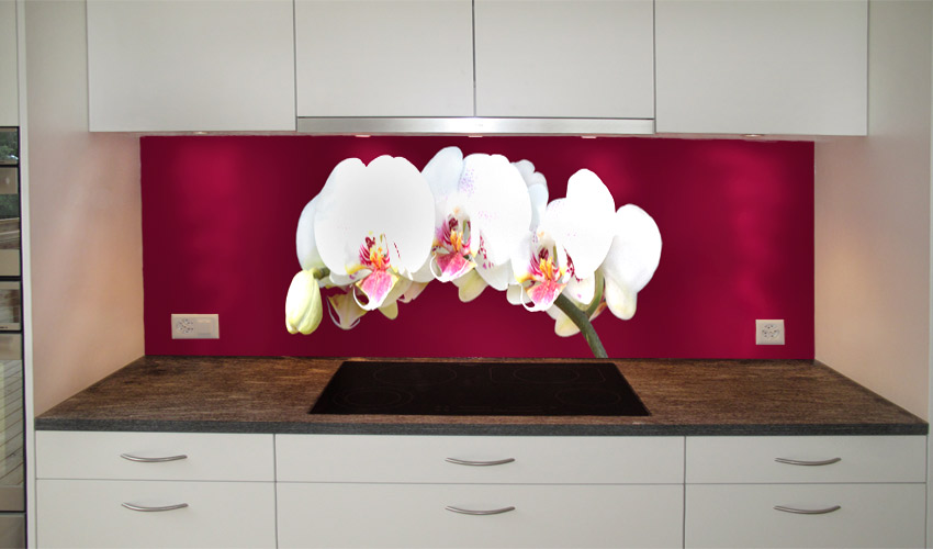 Weisse Orchideenrispe mit magenta Hintergrund - die Orchidee knnen Sie selbstverstndlich in verschiedenen Grssen bekommen. Ebenso ist die Hintergrundfarbe variabel. Fragen Sie uns. (Bild-Nr. 0200245; Kategorie 2)

