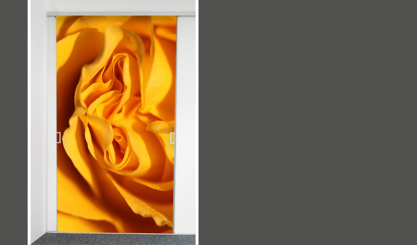 Gelbe Rose (Bild-Nr. 0200230; Kategorie 1)

